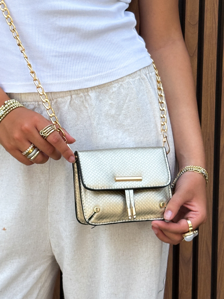 Icy Python-Textured Mini Crossbody - Goid